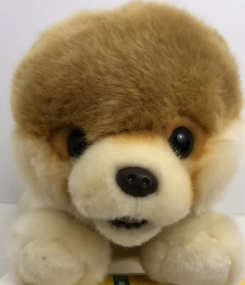 #ad Gund Boo World#x27;s Cutest Dog 14quot; Laying Down Pomeranian Plush 4033410 Stuffed $21.08