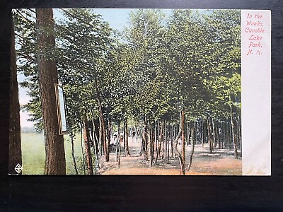 #ad Vintage Postcard 1901 1907 In the Woods Canobie Lake Park Salem New Hampshire NH $8.00