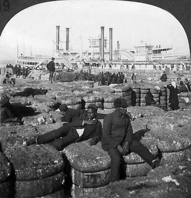 #ad Two Cotton Pickers Resting On A Quay Of New Orlean#x27;s Harbour 1910 OLD PHOTO AU $9.00