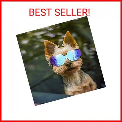 #ad Enjoying Small Dog Sunglasses Dog Goggles Small Breed for UV Protection Snow Pro $14.69