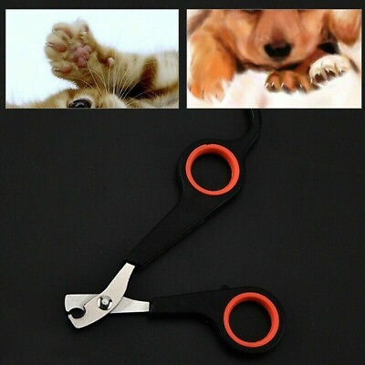 #ad Pets Nail Clippers Cutter Sicssor for Small Dog Cat Guinea Animal Claws Scissor $3.99