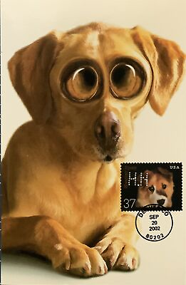 #ad #ad HNLP Hideaki Nakano 3671 Dog Spay N Neuter Greeting Card Happy Birthday Guy $5.00