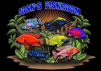 #ad Lot Of 10 1” African Cichlids. A Mix Of Compatible Peacocks amp; Haps 10 Fish Total $79.99