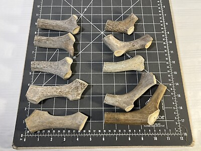 Deer Antler pieces Horns $19.99