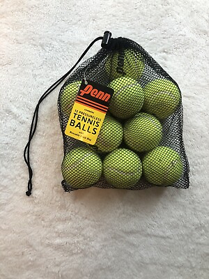 #ad 9 Penn Pressureless Tennis Balls in Mesh Bag Sports Practice Balls Dog Toy $13.99