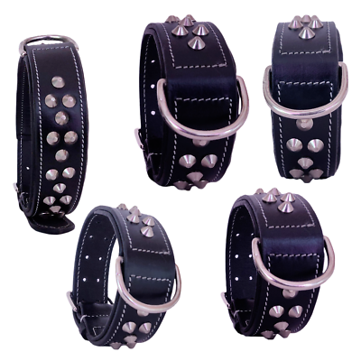 #ad Shwaan Dog Collar Leather Studded Spiked Large Pitbull Spikes Sharp L 18quot; 22quot; $47.70