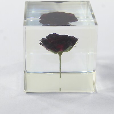 #ad 1 Rose Specimen Cube Paper Weight #1333 $17.00