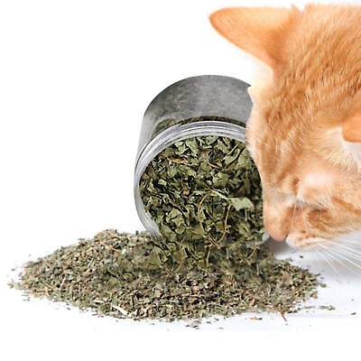 #ad #ad Natural Organic Cat Nip Dried Cut Catnip 20 100g Cat Kitten 100% Premium Treat $7.94