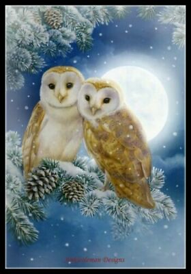 #ad Counted Cross Stitch Kits Needlework Crafts Embroidery DIY Owl 6 $52.66