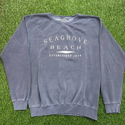 #ad Seagrove Beach 30A Pullover Adult Medium M Blue Sweatshirt Vacation Florida $24.99