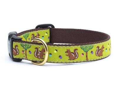 Up Country Dog Design Collar Made In USA Nuts and Squirrels XS S M L XL XXL $24.00