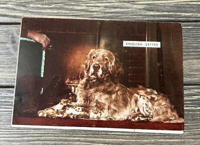 #ad Vintage 1953 Columbus Chevrolet English Setter Dog Promo Ad Flyer Mailer $74.99