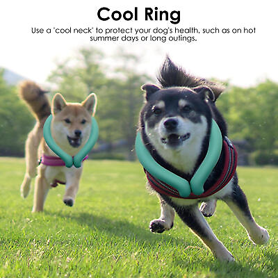 #ad Wearable Cooling Neck Collar for Small and Medium Dogs and Cats $14.27