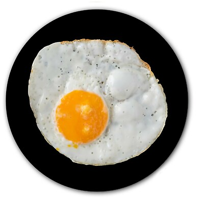 #ad Fried Egg #2 Food Theme 7quot; inch Slipmat Portablism Turntable Slip Mat DJ x1 $11.99