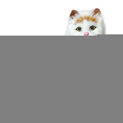 #ad 1PCS Simulation Stuffed Cat Cute Plush Animal Cat Dolls Toys Decoration Gifts $20.87