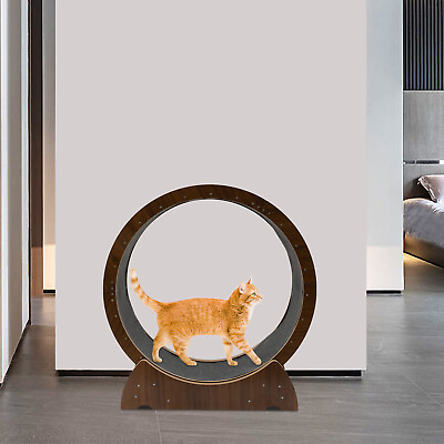 #ad Cat Exercise Wheel Running Spinning Scratching Resting Fun Pet Kitten Treadmill $136.80