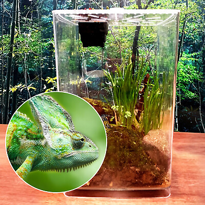 #ad Clear Acrylic Climbing Pet Box Terrarium Lizard Snake Spider Breeding Tank $32.92