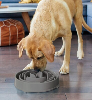 #ad For Pets Dog Slow Feeder Dogs Bowl for Medium Anti Gulping Food 10X Slow Feed $16.99