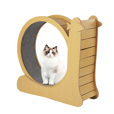 #ad Interactive Cat Treadmill Running Toy Pet Fitness Sport Wheel Cat Exercise Wheel $125.40