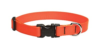 #ad Lupine Pet 52502 Blaze Orange Nylon Adjustable Standard Dog Collar 13 to 22 in. $11.71
