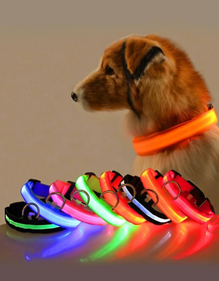 #ad #ad Glow In The Dark Pet Collar For Any Size Dog XL $12.00