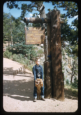 #ad Pike National Forest Boy Dog Colorado 1950s 35mm Slide Red Border Kodachrome $14.99