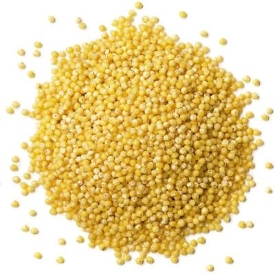 #ad Organic Hulled Millet — Non GMO Kosher Raw Bulk — by Food to Live ® $8.55