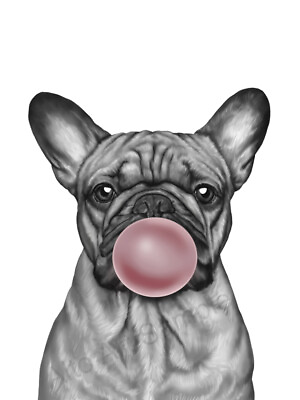 #ad French Bulldog Pink Bubble Poster Cute Frenchie Dog Blowing a Giant Gum Bubble $34.98