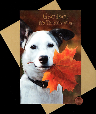#ad #ad Thanksgiving Puppy Dog Fall Leaf FOR GRANDSON LARGE Greeting Card W TRACKING $3.95