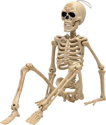#ad 16quot; Halloween SkeletonFull Body Skeleton with Posable Movable Joints for Haunte $19.99