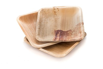 #ad Natural and Biodegradable Disposable Areca Leaf Square Plate 6x6 #x27;#x27; 25 pcs $32.79