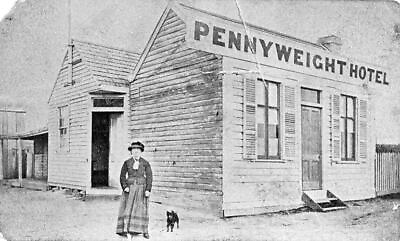 Woman and Dog Outside Pennyweight Hotel Ballarat Victoria 1875 OLD PHOTO AU $6.38