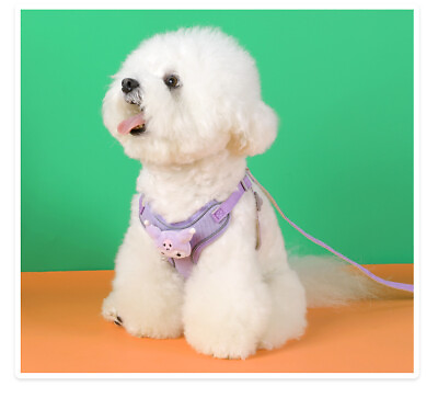 #ad Soft Dog Cat Harness Leash Collar Set Adjustable Cartoons Cute Dog Harness $13.99