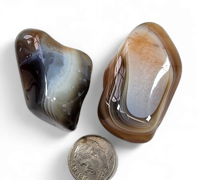 #ad Botswana Agate Polished Stones 60.1 grams. 2 Piece Lot $5.99