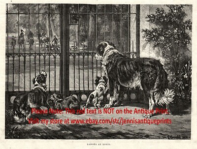 #ad Dog Shepherd amp; Toy Dogs Left Behind When Hunting Dogs Leave 1880s Antique Print $69.95
