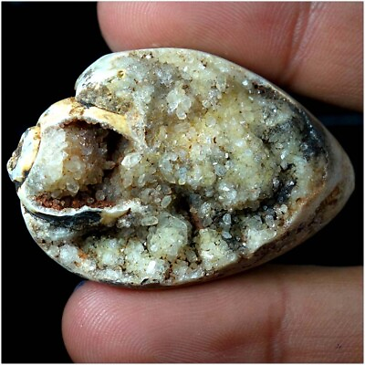 #ad 100% Natural Natural Fossil Snail Druzy Agate Fancy AA Astonishing 146.90Cts. $19.99