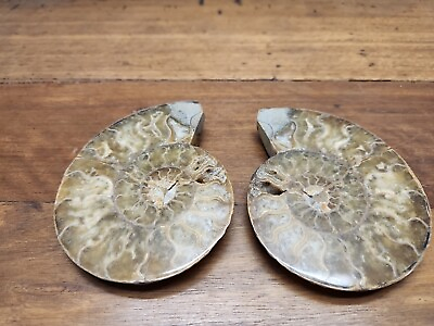 #ad Natural Ammonite Fossil Sea Conch Crystal Specimen Slice AU $100.00