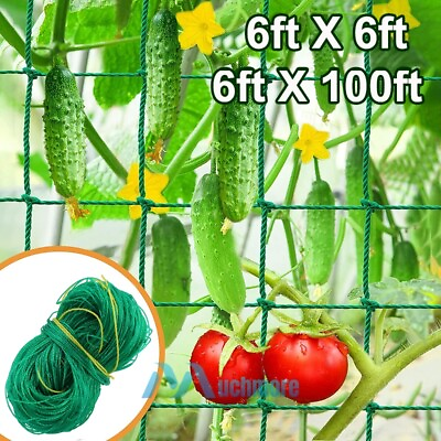 #ad Plant Trellis Netting for Climbing Plants Outdoor Heavy Duty Growing Net 6 100FT $7.99