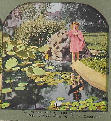 #ad Look At The Froggies Young Girl by Pond w Frogs 1899 Ingersoll Stereoview Card $6.95