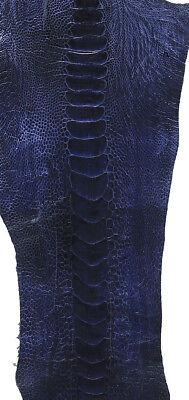 #ad 10 Ostrich Legs Skin Midnight Blue Color Grade B and C $150.00