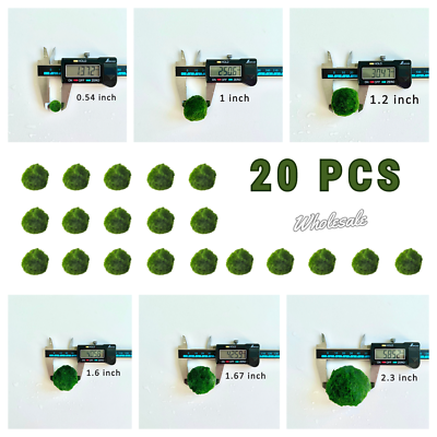 #ad 20PCS Multiple Size Moss Ball Pet Bulk Sale Japanese Algae Ball Wholesale $299.99