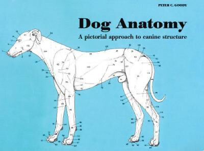 #ad Dog Anatomy: A Pictorial Approach to Canine Structure by Peter Goody $24.81