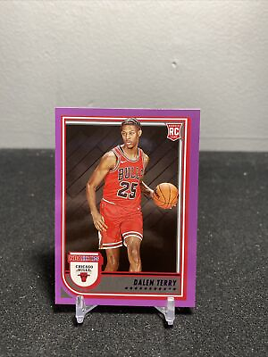 #ad 2022 23 NBA Hoops Dalen Terry Rookie RC Purple Parallel #248 Chicago Bulls $1.00