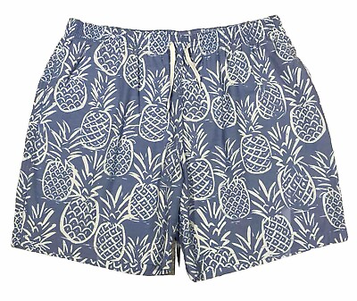 #ad NEW Chubbies Thigh Napples 7quot; Pineapple Swim Trunks Lined 2XL Faded Blue $70 $38.00
