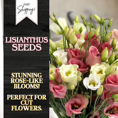 #ad Lisianthus Seeds 100 Seeds Garden Bloom Flower Seed Flowers Non Gmo Heirloom $6.59