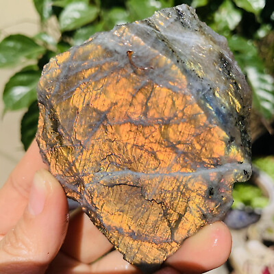 #ad 169g Natural crystal Labrador crystal natural rough mineral specimen $39.00