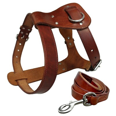 Leather Dog Harness and Leash Genuine Leather for Large Dogs Pitbull Bulldog S L $15.99