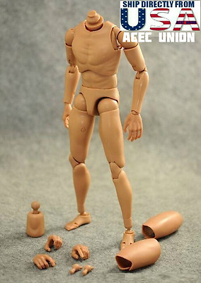 #ad 1 6 Narrow Shoulder Male Figure Body For Hot Toys TTM18 TTM19 TTM21 USA SELLER $19.94