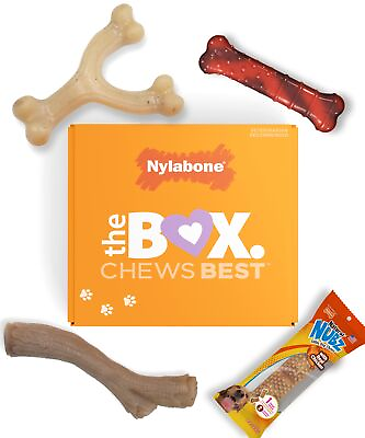 #ad Dog Gift Box for Small Dogs 3 Strong Chew Toys and 1 Dog Treat Flavor Var... $24.55