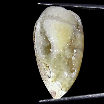 #ad 25.60Cts Natural Fossil Snail Druzy Agate Loose Gemstone $6.99